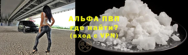 прущие грибы Баксан