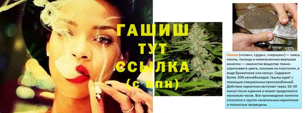 прущие грибы Баксан