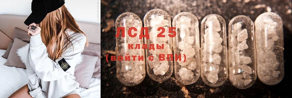 прущие грибы Баксан