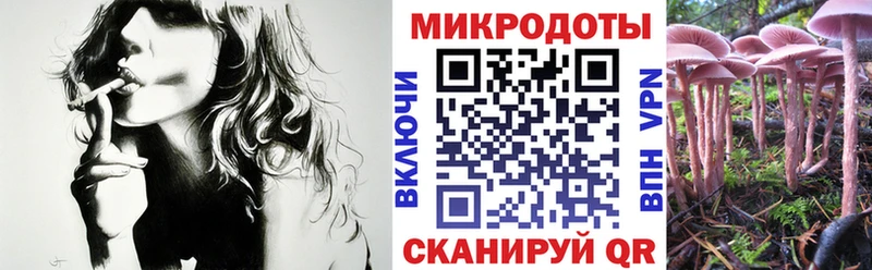 Галлюциногенные грибы ЛСД  где купить наркоту  Свободный 